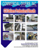 CDI Delivers Professional Results
